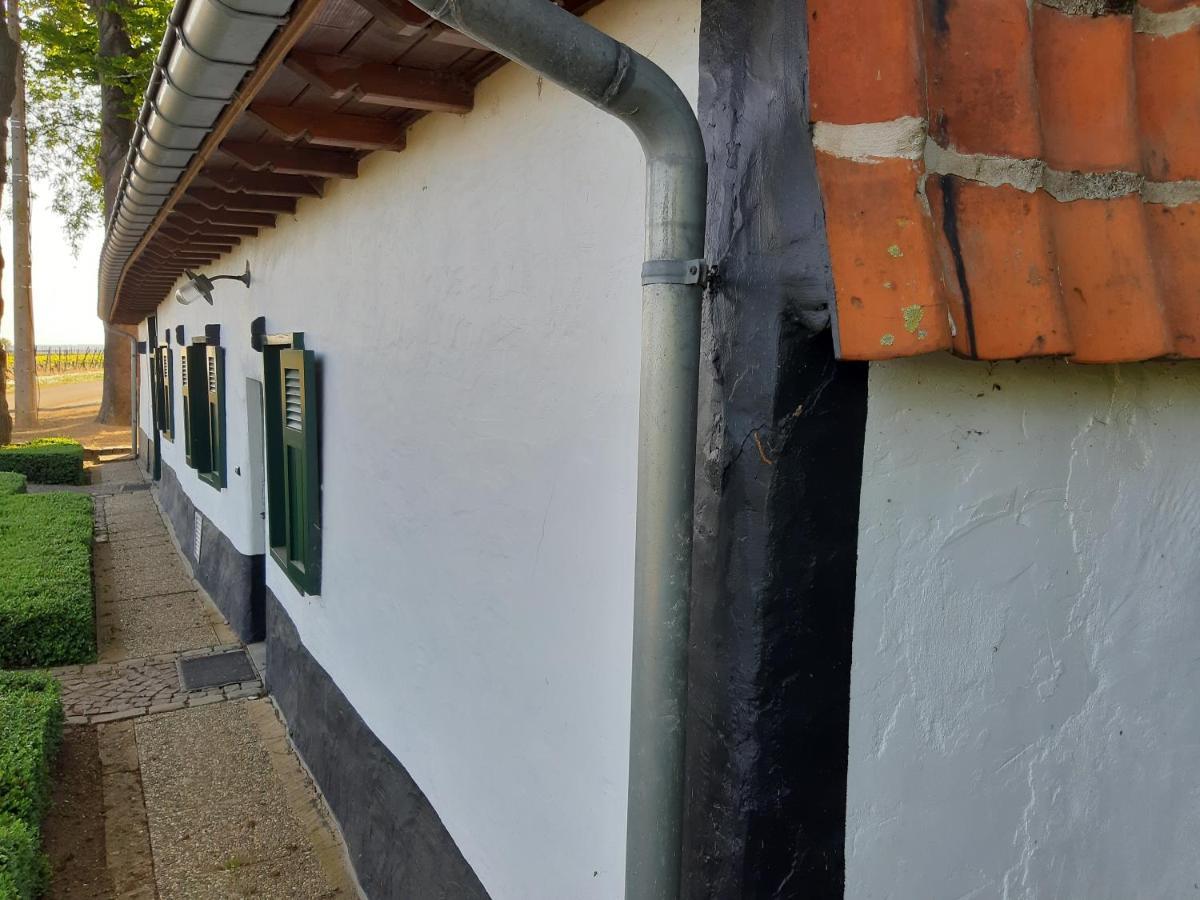 Lemen Huis Houwaart Tielt Extérieur photo